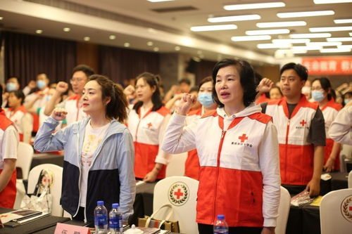 重庆市红十字心理健康志愿服务队成立